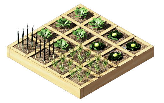 The Adaptable 'Square Foot Garden'